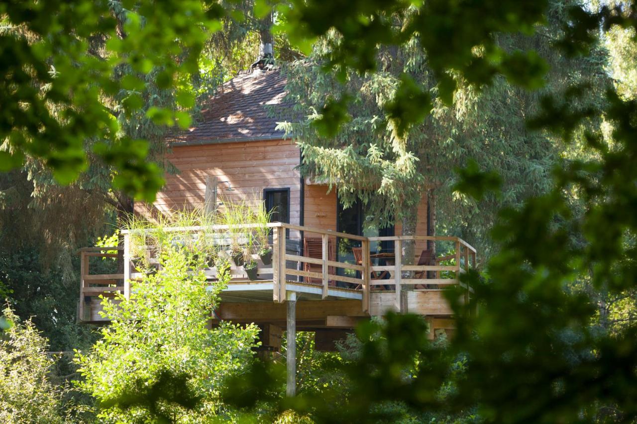 Les Cabanes De Koad'Dour - Sejour Spa Dans Les Arbres Les Portes du Coglais Экстерьер фото