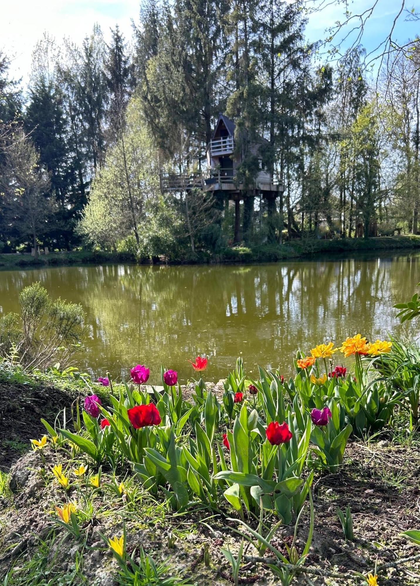 Les Cabanes De Koad'Dour - Sejour Spa Dans Les Arbres Les Portes du Coglais Экстерьер фото