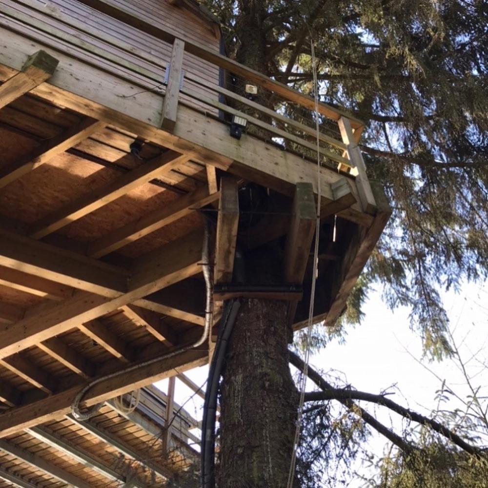 Les Cabanes De Koad'Dour - Sejour Spa Dans Les Arbres Les Portes du Coglais Экстерьер фото