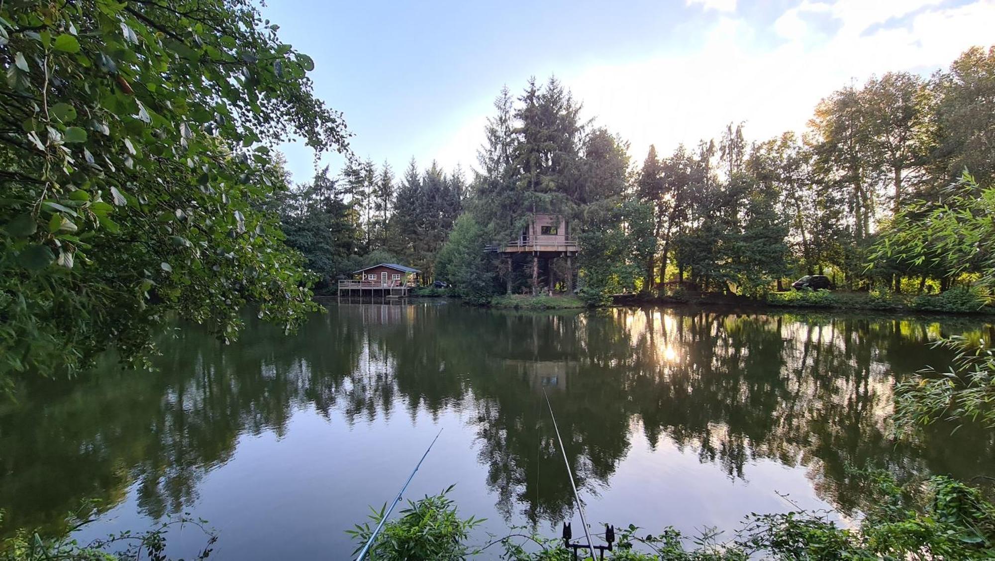 Les Cabanes De Koad'Dour - Sejour Spa Dans Les Arbres Les Portes du Coglais Экстерьер фото